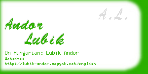 andor lubik business card